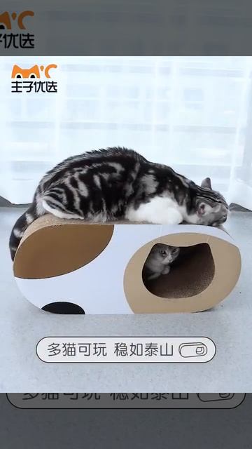 Tunnel Cat Scratching Board