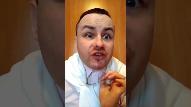 АНТОНИО КАНАЛЕТТО. ДВОР КАМЕНЩИКОВ. ОПИСАНИЕ КАРТИНЫ. ИСКУССТВОВЕД ЮЛИЙ АРТЕМЬЕВ