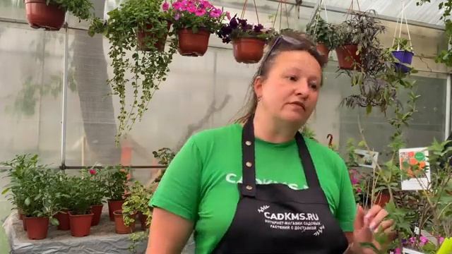 ВОПРОС-ОТВЕТ: Как решили открыть питомник в суровом климате. Сколько мы зарабатываем?