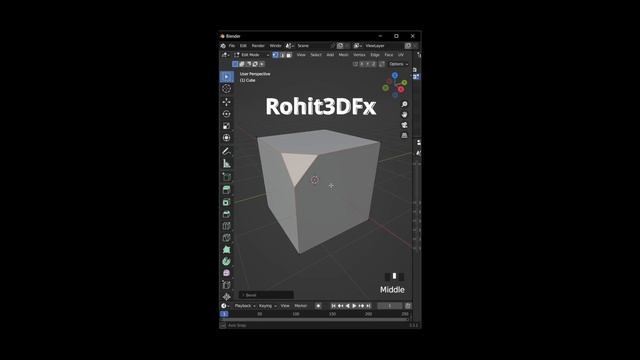 How To Bevel Vertices And  Add Loop Cut In Blender | Rohit3DFx