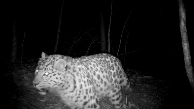 8a2ba273a7c376bc0ec034dec9f469e2