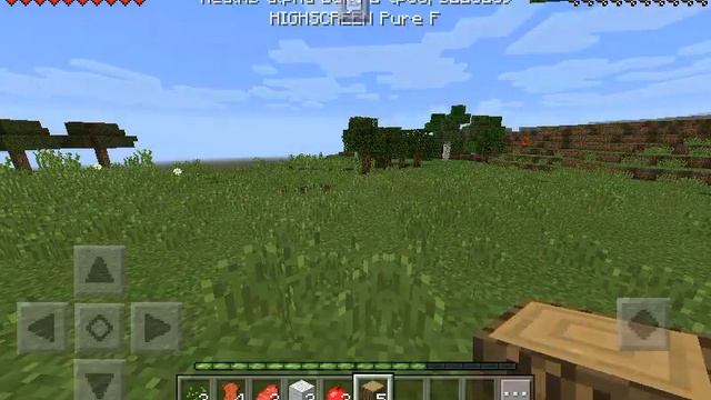 Main #1 супер дом