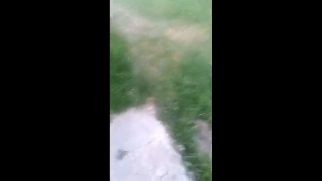 Real Life обновление звуков!