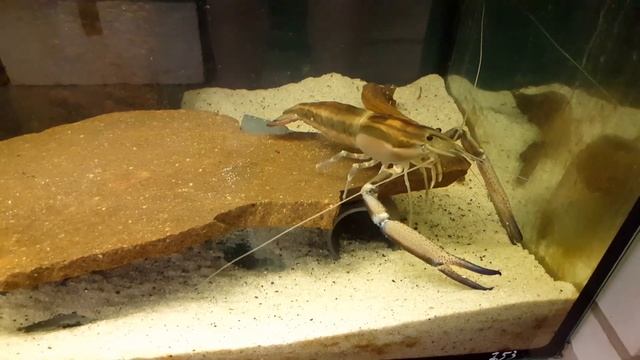 60cb781671105136796c80b8f48121c8