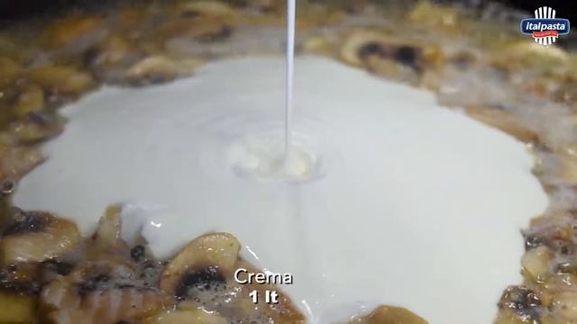 Caracol Mediano Italpasta Con Salsa Panna E Funghi