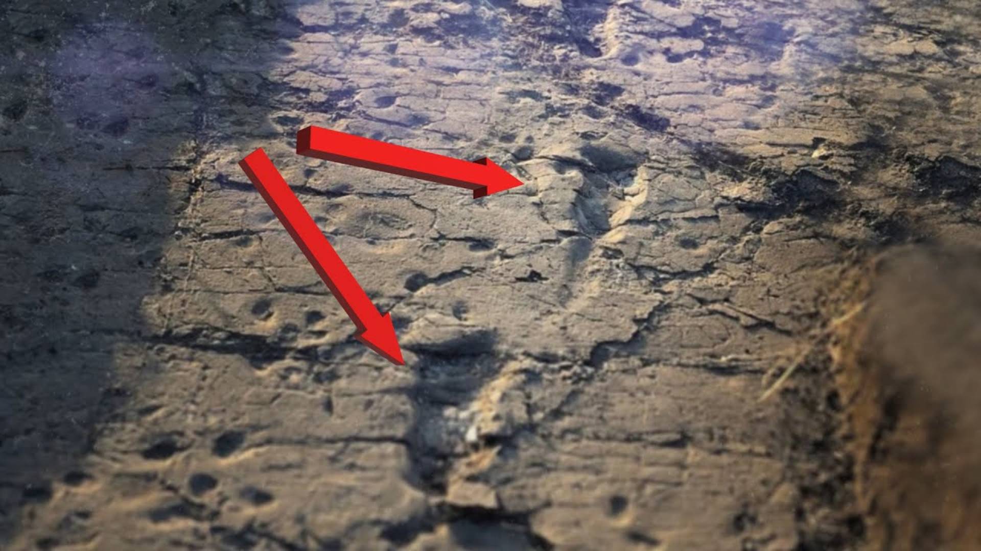 Следам человека в камне 3,7 млн лет? Танзания и наши вероятные предки у вулкана Садиман и Нгоронгоро