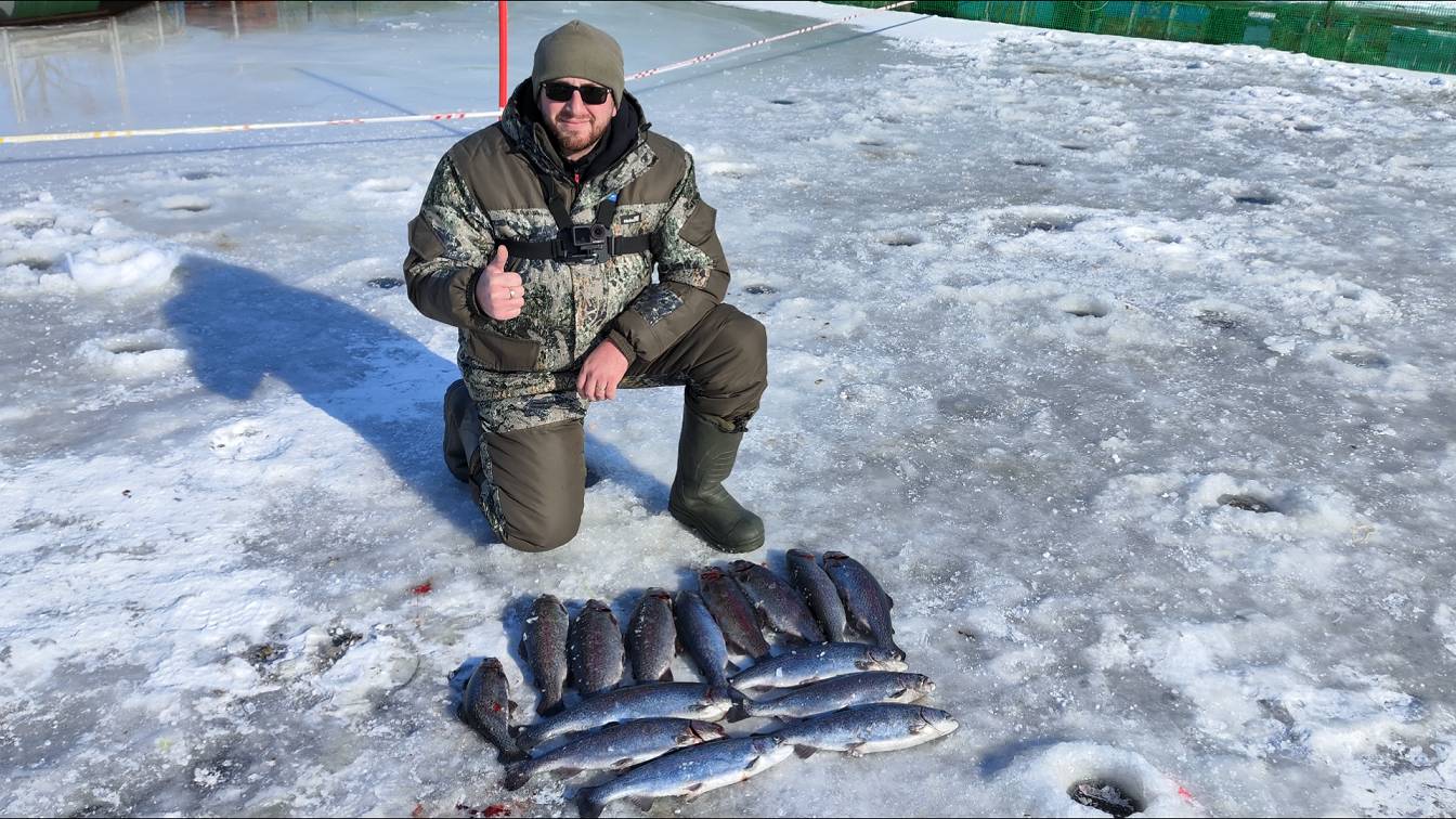 3be8a926cc3621dc56d927cb5106d7da