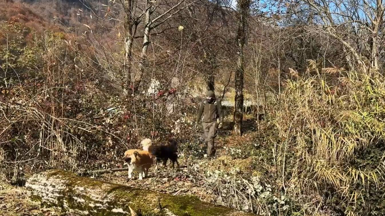 9250eec95a3912d2f476247cbd15189b