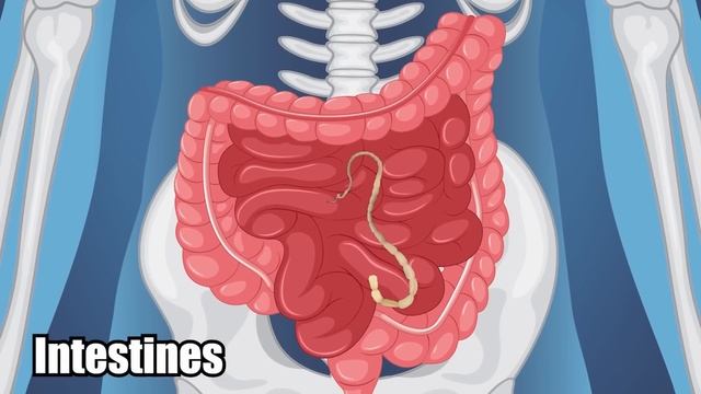 E91011edc52d75e2db4579ab7efc7957