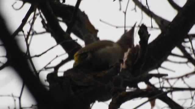 76732ab852f670bb0dd45557f1d437c7