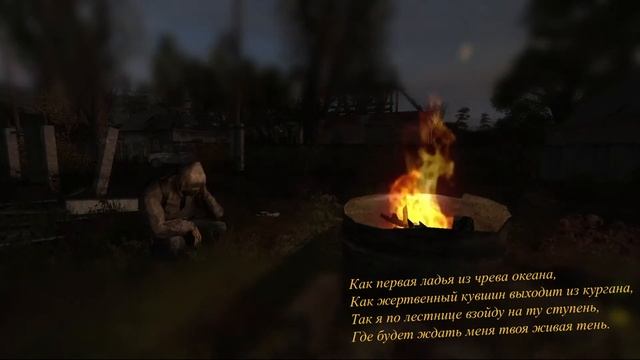 Раздумья у костра  Сталкер NLC 7