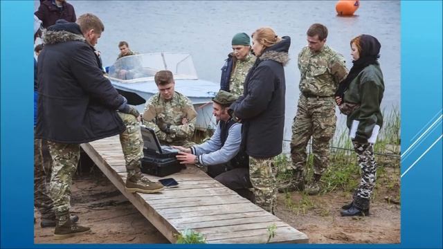 группа         нерпа    друзья