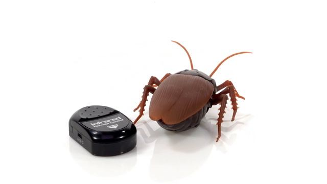 Видео 360°. Роботы