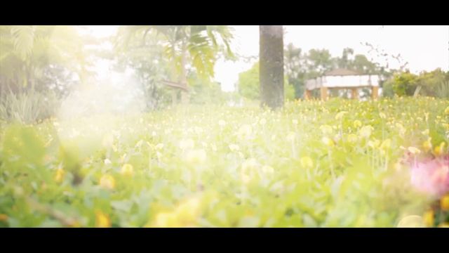 Dandy Blessing - Yo Te Esperare (Cover Salsa)(Video Lyric)