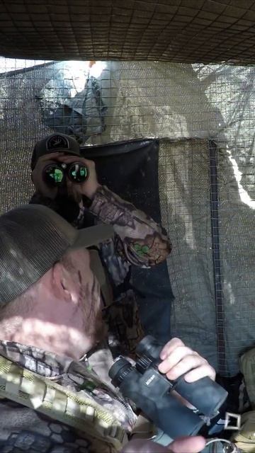 African Bush Sounds | Hunting Friendship | Arrowhead Africa | #short | 26