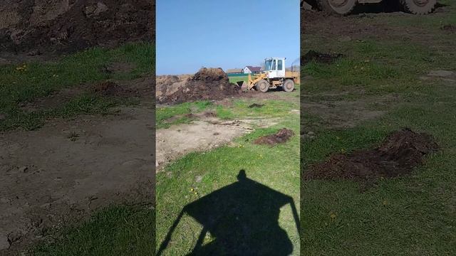 погрузка навоза дома  погрузчик то 30