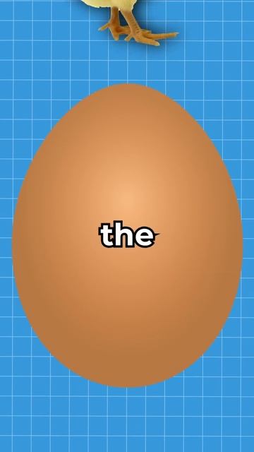 Why Are Chicks Born Yellow? 😳 #shorts #viral