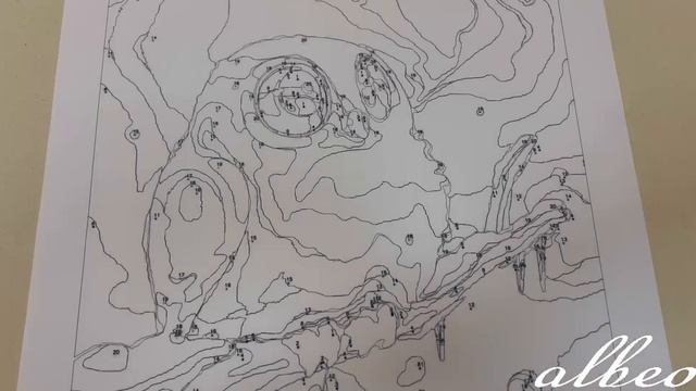 Печать на синтетическом матовом холсте для плоттеров Albeo Art-Canvas SC230