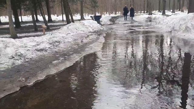 Талые воды
