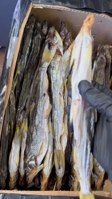 Вяленая корюшка Зубатка мелким оптом с доставкой в любой регион РФ. Прайс на сайте Fishmarket-opt.r