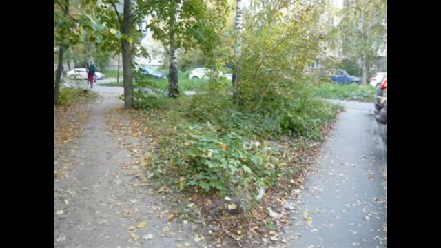 11 09 2019 ГОД  УБОРКА МУСОРА