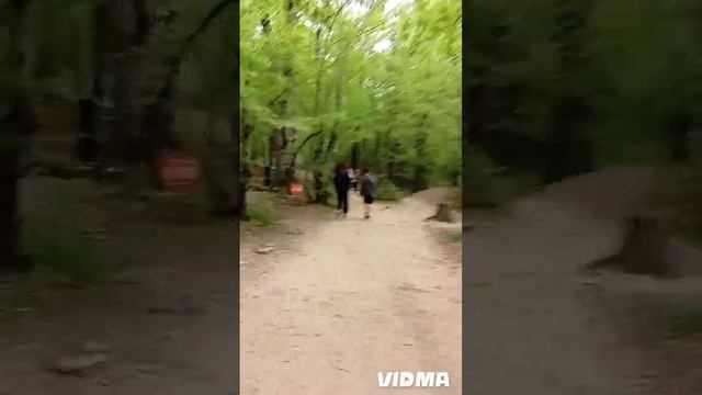 Дольмены, водопады реки Жанет и вайп весеннего леса.