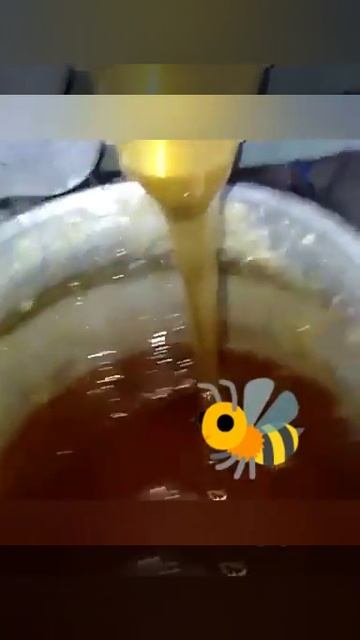 Жантачный мёд