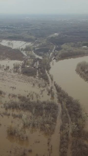Большая вода в Оренбурге. апрель 2024 #паводокОренбург #наводнение2024