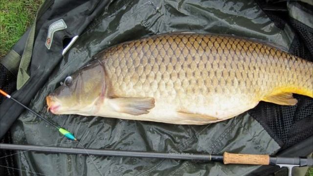 Из чего состоит современная прикормка и почему вы не сможете сделать такую же дома!