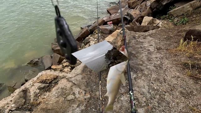 Ейск - рыбаков берут за жабры. Кто и за что! Ейский лиман.