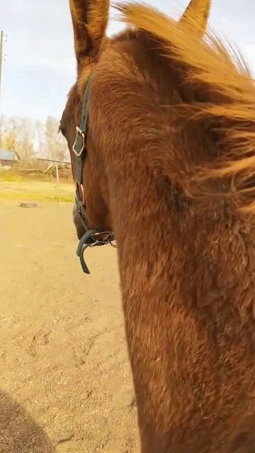 D429e5c151eeac94e1ec0569dca0d8fa