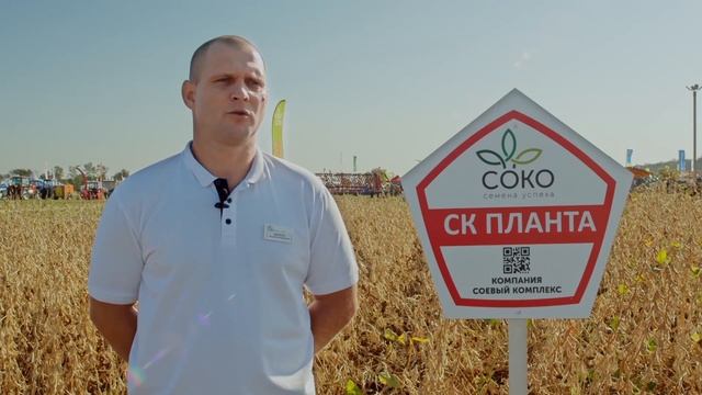 сорт сои СК Планта основной посев 2020