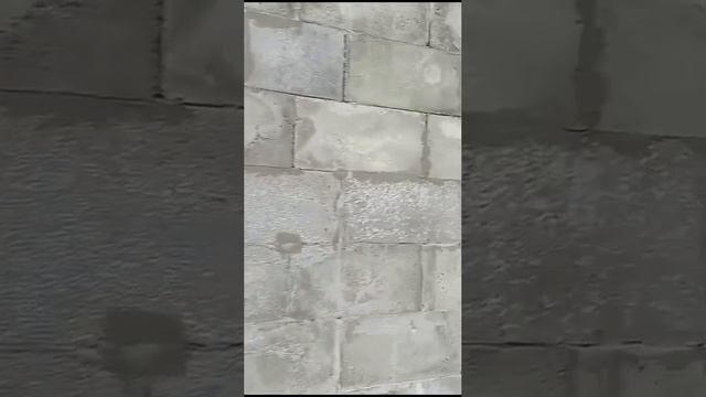 Дом из полистиролбетонных блоков от компании Легкие Бетоны, отзыв нашего клиента