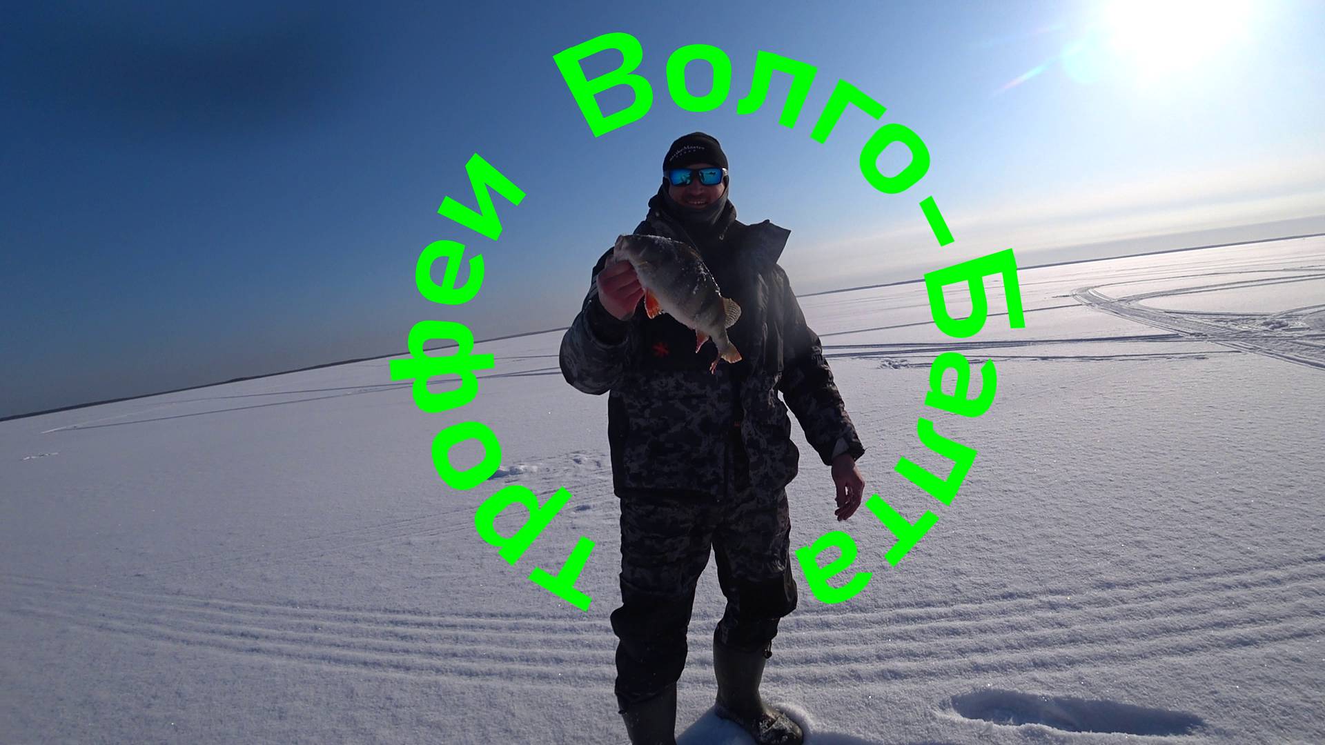 D4bf2de522657ea3bc0fbdda9d8e9a42