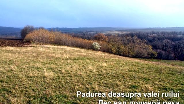 Rîul Cuşmirca: de la Ţipordei pînă la Climăuţii de Jos