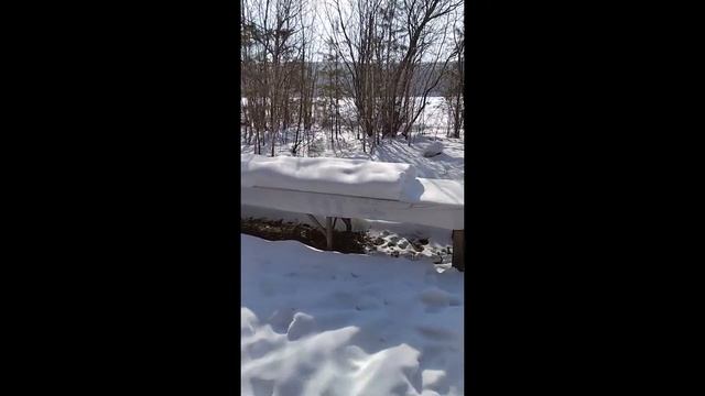 Fe5bf6e0d796094dcb3361778bb915ff