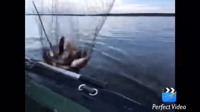 Открытие сезона Рыбинка 2016