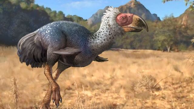 Titanis Sound Effects