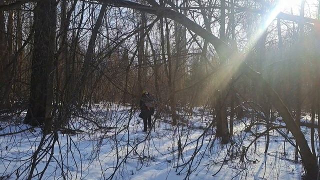 Заблудился в лесу