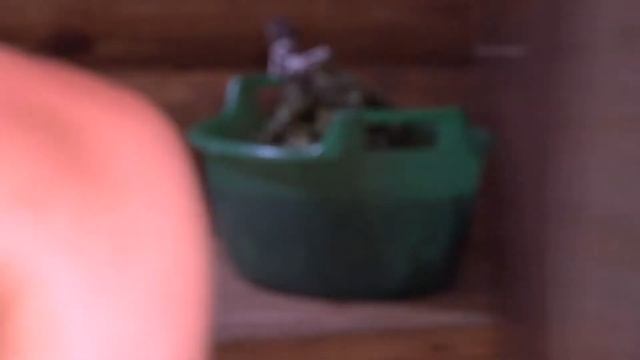 Визитная карточка отеля