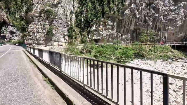 31bc661658ee6ee2f5083f9917cb0812