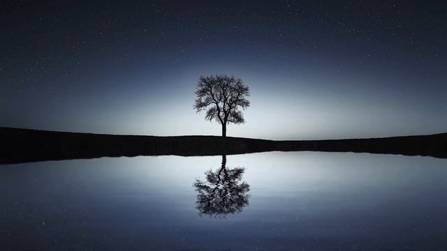 Relax Music Расслабляющая музыка, ритмичная, для дома, для машины. #relaxingmusic #relax #sleep 🔥🔥🔥