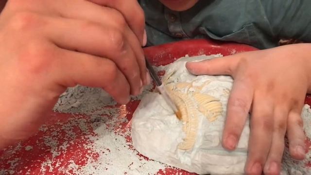 Динозавры || Скелет динозавра ||Excavation Dinosaur Skeleton