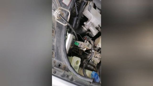 Enchantment Of The Universe