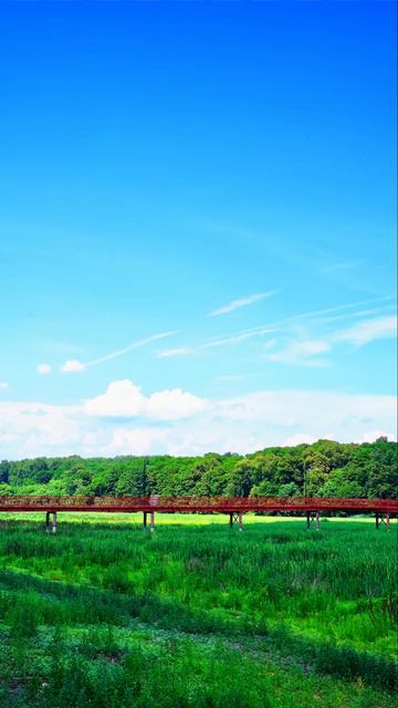 Nature Hd Whatsapp Status Dp Images #imagesforstatus #whatsappstatusimages  #whatsappstatusdp