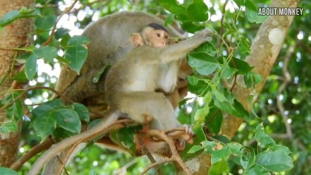 93be847fcde05c48f093e33dd7e91de8