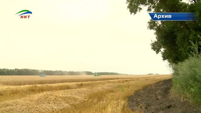 Урожай зерна в Дагестане достиг 85 тысяч тонн