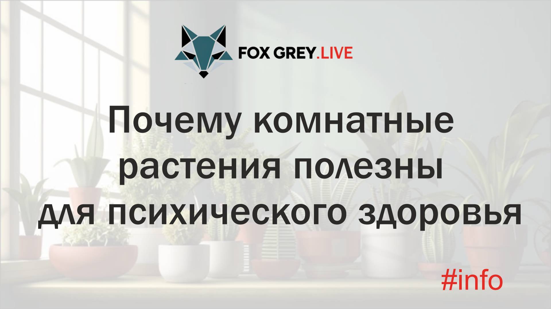 635594b260675fba8f045c6470e0c7d4