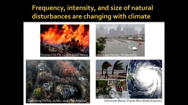 Monica Turner - Interacting Stressors, Compound Disturbances, & Abrupt Change Terrestrial Ecosystem