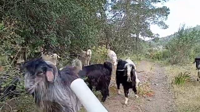 B2cbc4318ee5808115758e8c44287a66